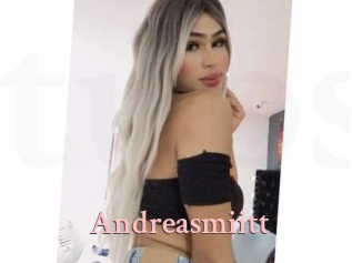 Andreasmiitt