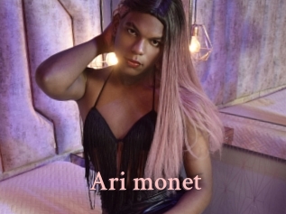 Ari_monet