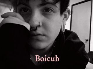 Boicub