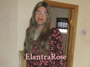 Elantra_Rose