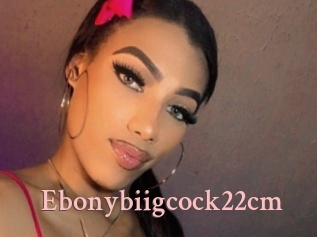 Ebonybiigcock22cm