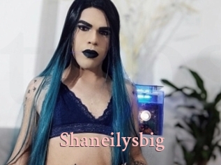 Shaneilysbig