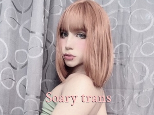 Soary_trans