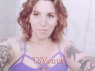 TS_Venus